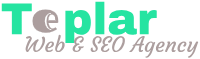 teplar web and SEO agency