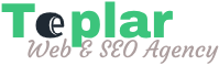 teplar web and seo agency